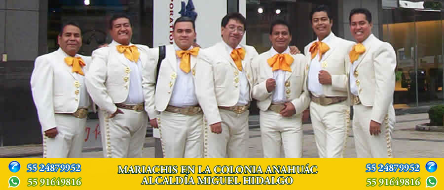 mariachis en la colonia anahuac